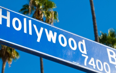 activity Hollywood