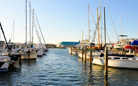 activity Chesapeake Bay Maritime Museum