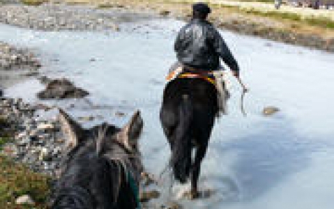 activity Lago Argentino à cheval