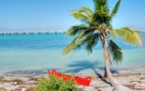 activity Découverte d'un coin de paradis : Key West