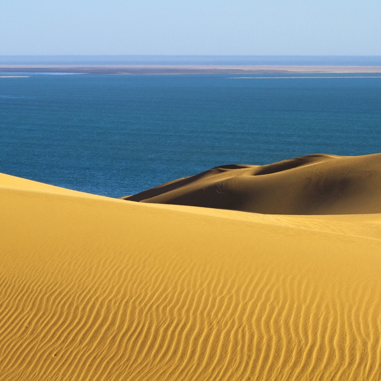 Beauté sauvage du désert du Namib. 300km.