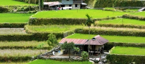 Le nord de Luzon, de villages en rizières