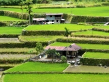Le nord de Luzon, de villages en rizières