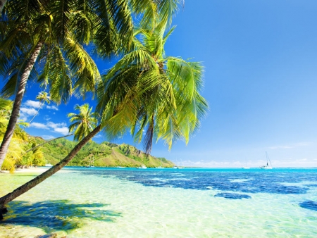 Journée idyllique sur un atoll